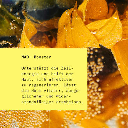 Gesichtsserum Firming Retinal hej ORGANIC