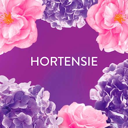 Wäscheparfüm Blütentraum Lenor