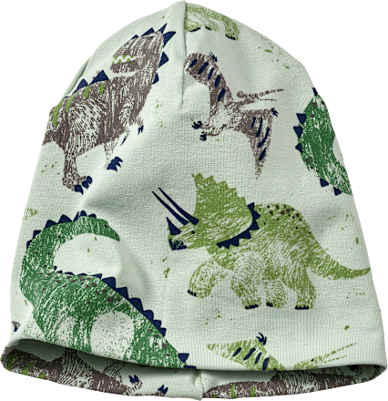 Mütze Pro Climate mit Dino-Muster, grün, Gr. 48/49 ALANA