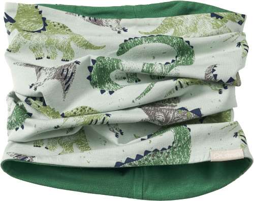 Loop Schal Pro Climate mit Dino-Muster, grün ALANA