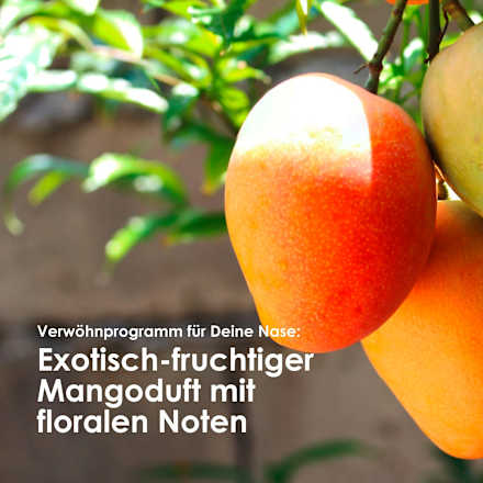 Shampoo Lockentraum Mango Matcha Jean&Len