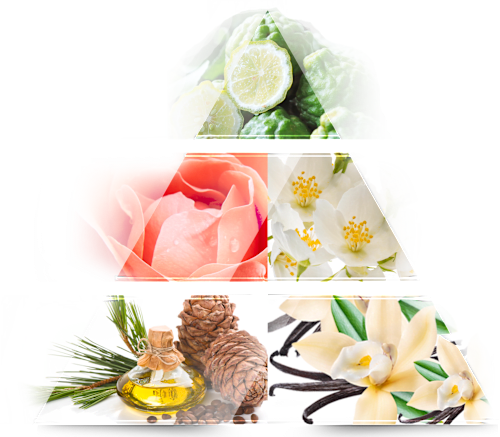 Eau de Parfum Ideal For Woman LA RIVE