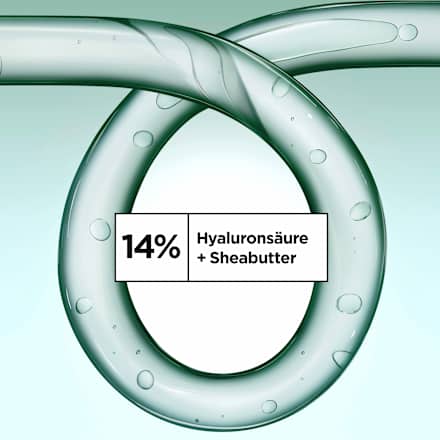 Conditioner Locken Methode Feuchtigkeit GARNIER FRUCTIS