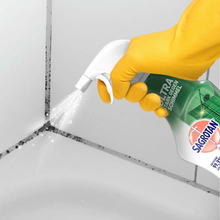 Schimmel-Entferner Sagrotan