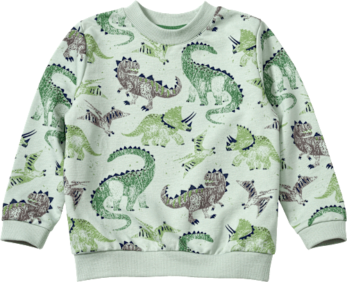 Sweatshirt mit Dino-Muster, grün, Gr. 122 ALANA