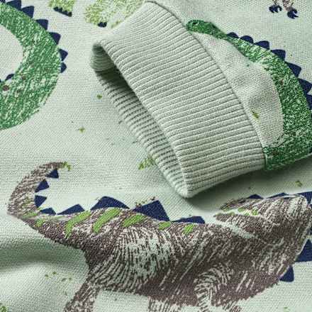 Sweatshirt mit Dino-Muster, grün, Gr. 110 ALANA