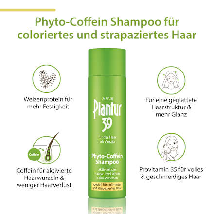 Shampoo Phyto-Coffein, coloriertes & strapaziertes Haar Plantur 39