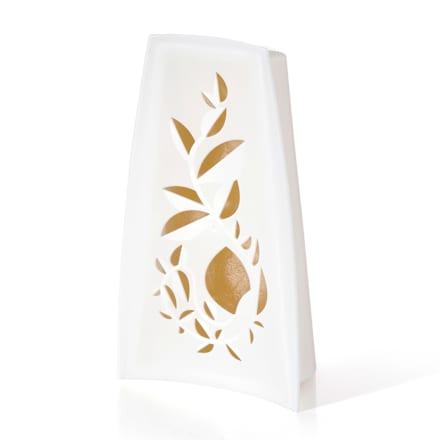 Gel deodorante per ambienti Ocean Fresh Denkmit