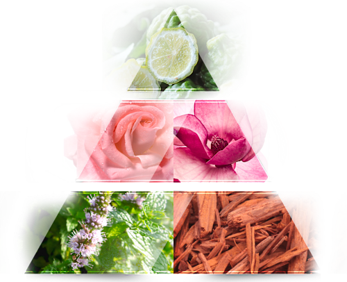 Eau de Parfum Look of woman LA RIVE