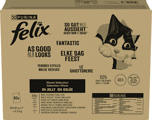 Fantastic kapsičky pro kočky Masový výběr, 80x85g Felix