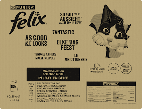 Fantastic kapsičky pro kočky Masový výběr, 80x85g Felix