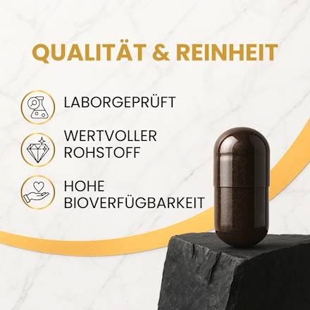 Mumijo Shilajit Kapseln 60 St marble