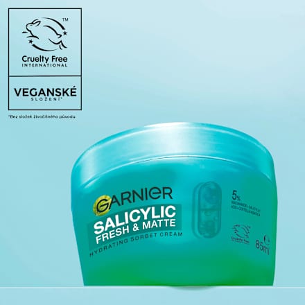 denní pleťový krém Salicylic Fresh & Matte GARNIER SKIN NATURALS