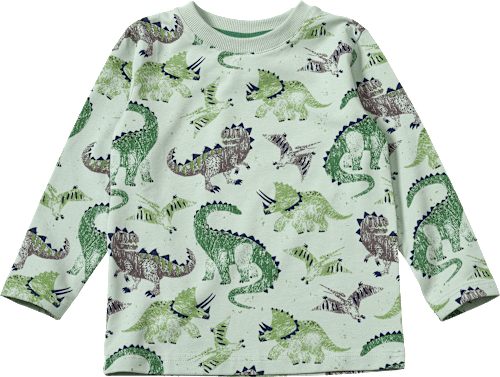 Langarmshirt Pro Climate mit Dino-Muster, grün, Gr. 116 ALANA