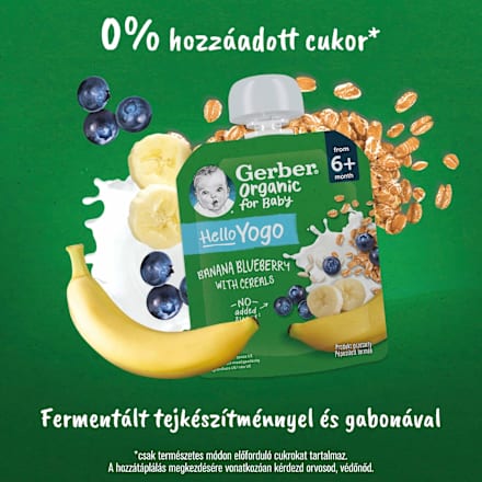 Bio gyümölcspüré banánnal, áfonyával, fermentált tejkészítménnyel és gabonával 6 hónapos kortól Gerber Organic
