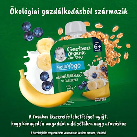 Bio gyümölcspüré banánnal, áfonyával, fermentált tejkészítménnyel és gabonával 6 hónapos kortól Gerber Organic