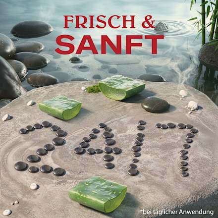 Deostick Gentle Man´s Aloe & Rain Old Spice