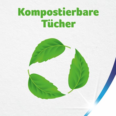 Küchenrolle Wisch&Weg Sparblatt (8x74 Blatt) Zewa