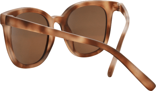 Sunčane naočale za odrasle SUNDANCE