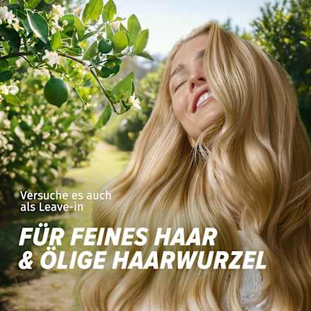 Conditioner Limettenduft, Tiefenreinigung & Glanz Herbal Essences
