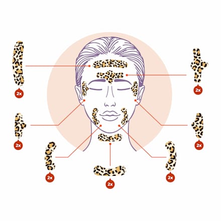 Facial Patches Leo Wild Stripes