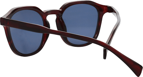 Sunčane naočale za odrasle SUNDANCE