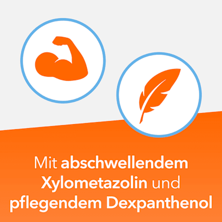 ratiopharm NasenDuo Nasenspray 1 mg/ml + 50 mg/ml Nasenspray, Lösung NasenDuo