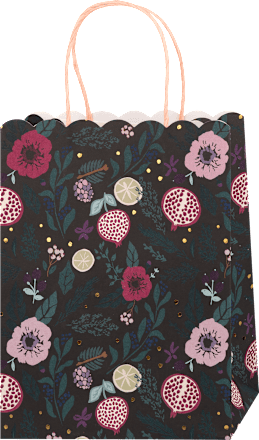 Poklon vrećica Midi, više vrsta Profissimo