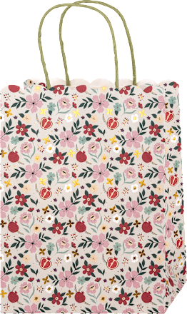 Poklon vrećica Midi, više vrsta Profissimo