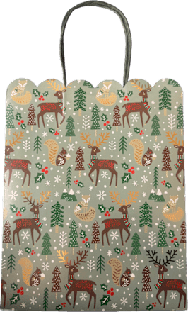 Poklon vrećica Midi – zimski motivi, više vrsta Profissimo