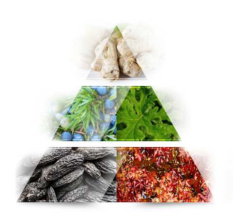 Move On Eau de Toilette LA RIVE