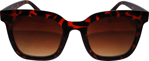 Ženska sončna očala, rjava sundance