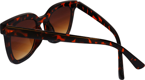 Ženska sončna očala, rjava sundance