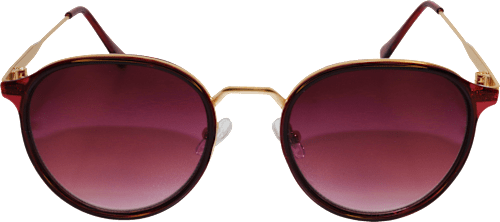 Sončna očala za odrasle 698 sundance