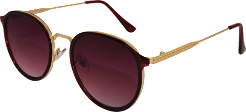 Sončna očala za odrasle 698 sundance