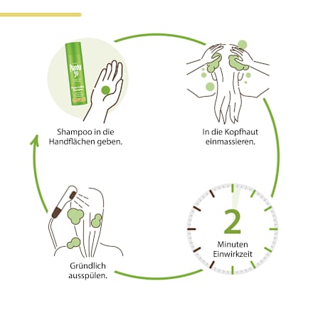 Shampoo Phyto-Coffein Plantur 39