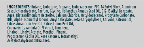 Antitranspirant Deospray Nonstop Protection Iced Lemon & Sage Scent Rexona men