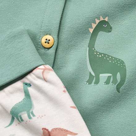 Set mit Jacke & Wendehose mit Dino-Muster, grün, Gr. 62 ALANA