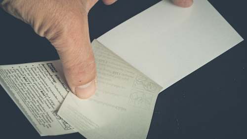 Silberfischchen Köder Leimfalle geruchlos Nexa Lotte