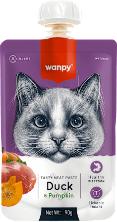 Pasta dla kota kaczka z dynią wanpy