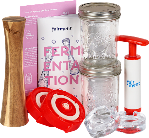 Starter Kit Fermentation fairment