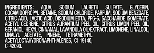 Duschgel Aqua Bergamot Fine Fragrance AXE