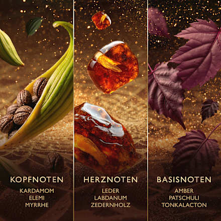 Eau de Parfum Amberwood Nomad JAWHARA