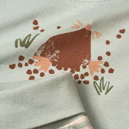 Set mit Langarmshirt & Hose mit Mitwachsfunktion, grün & beige, Gr. 62 ALANA