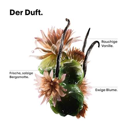 Haaröl Absolut Repair Molecular Bi-Phase Oil L'ORÉAL PROFESSIONNEL