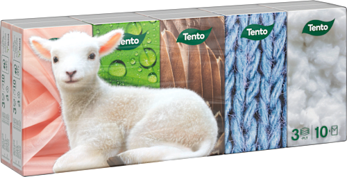 Hygienické vreckovky Natural Softness 10x10 Tento