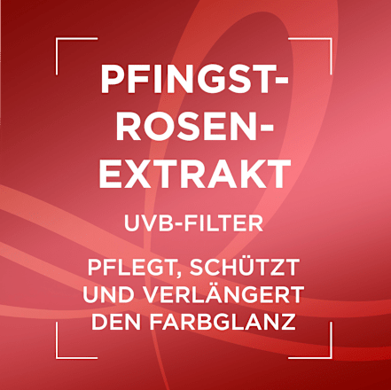 Color Glanz Farbschutz Pflegeshampoo Nachfüllpack L'ORÉAL PARiS ELVITAL