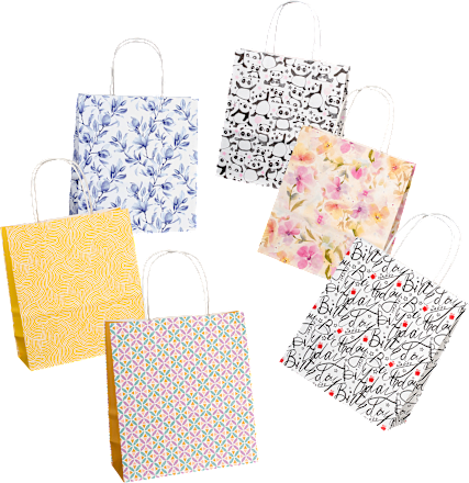 Darilna vrečka, več različic Profissimo