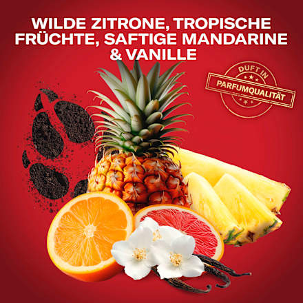Duschgel Wolfthorn 3in1 Old Spice
