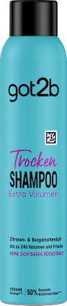 Trockenshampoo Extra Volumen got2b